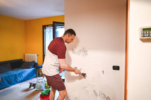 Best Residential Mold Removal  in Atlantic Beach, NC
