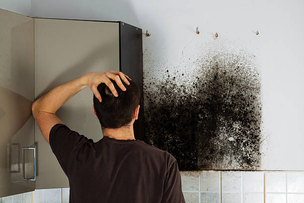 Best Commercial Mold Removal  in Atlantic Beach, NC